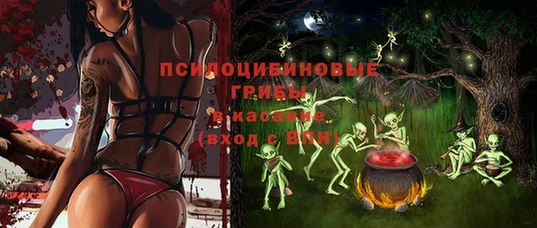 тгк Мегион