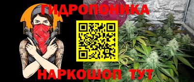 ПСИЛОЦИБИНОВЫЕ ГРИБЫ Камышлов