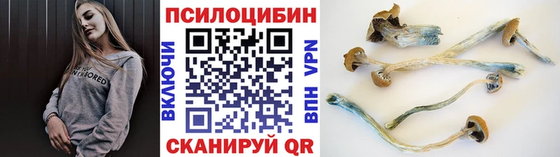 Галлюциногенные грибы GOLDEN TEACHER  мега зеркало  Самара 