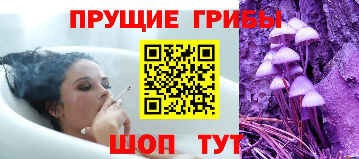 Галлюциногенные грибы Psilocybe  Галлюциногенные грибы Psilocybine cubensis  Вход с VPN  Самара 